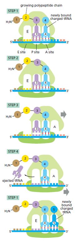 Figure 6-64.png